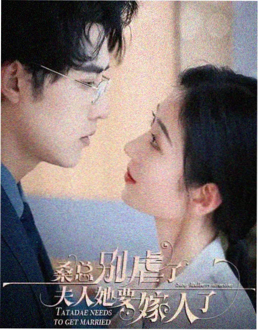 雾港迷局 犯罪悬疑剧全集免费看